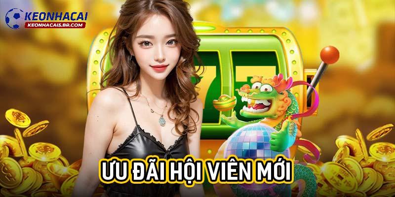 Nhà cái cá độ bóng đá cho người mới với VSBET