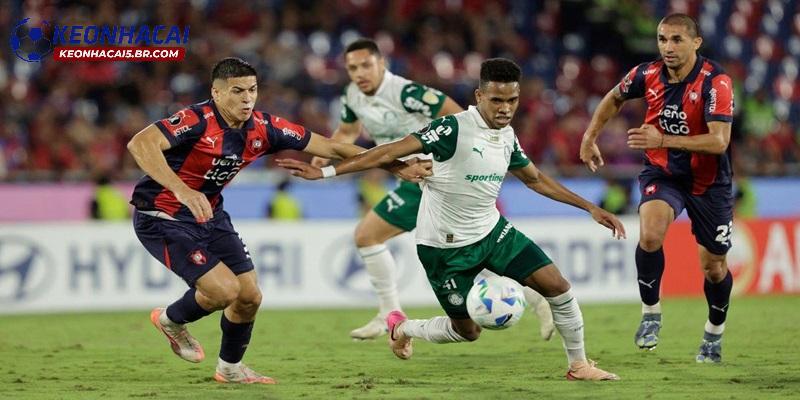 Nhận định Palmeiras vs Cerro Porteno, 07h30 - 21/05/2026 1 Nhận định Palmeiras vs Cerro Porteno